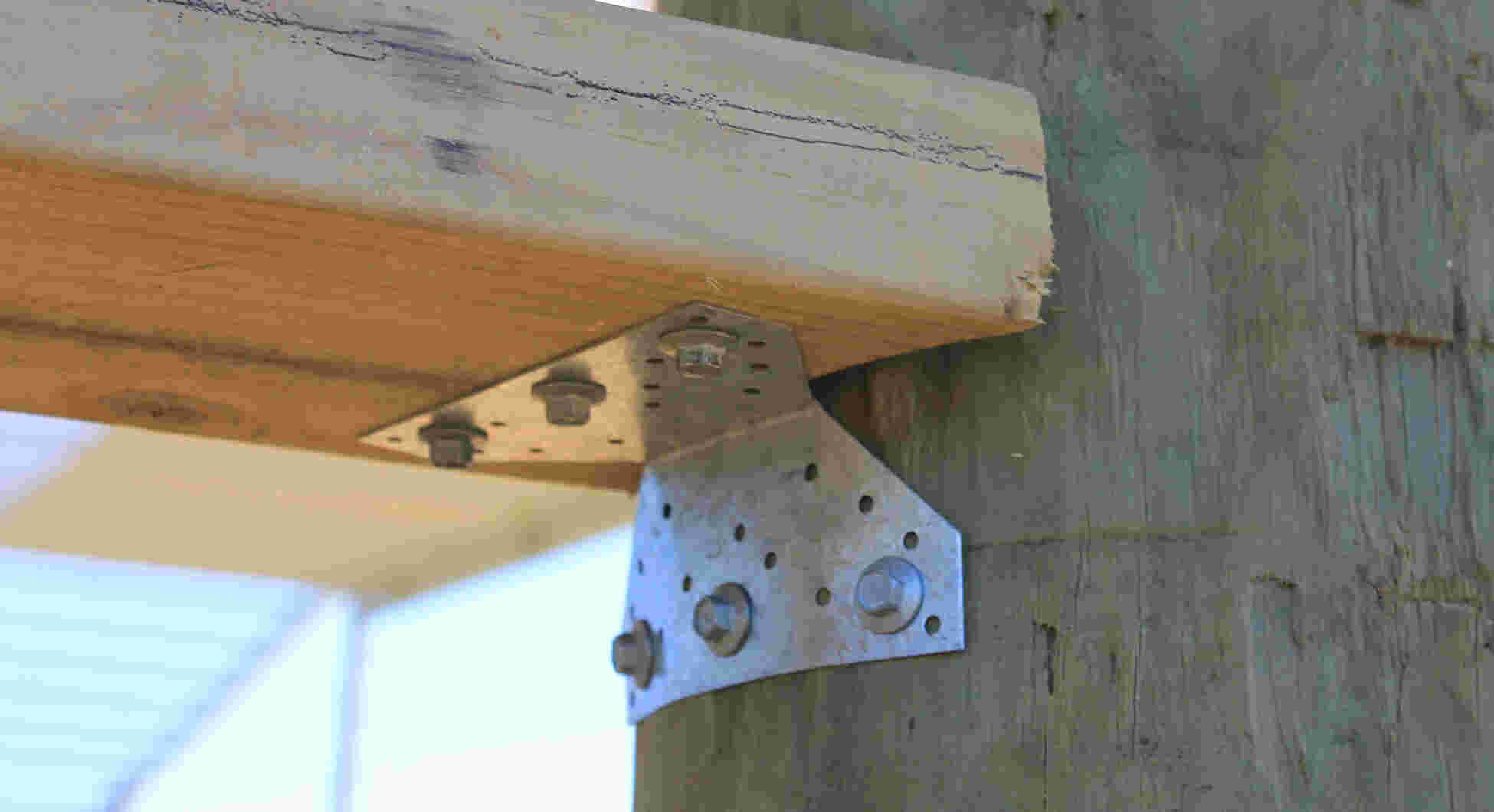 Bird Proof Purlins