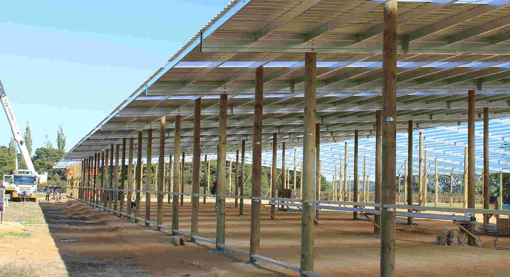 Bird Proof Purlins