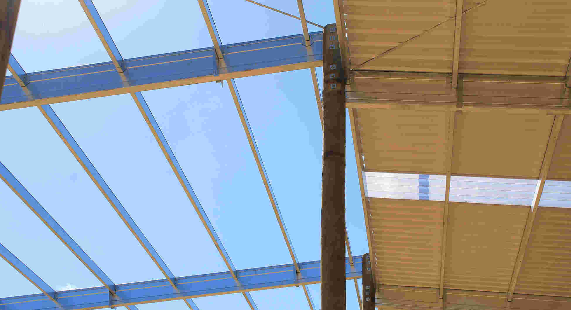 Bird Proof Purlins