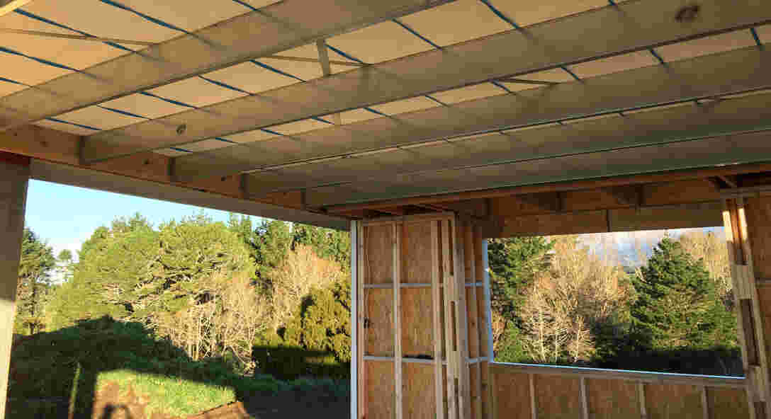 Bird Proof Purlins vs Laminated Timber Beams