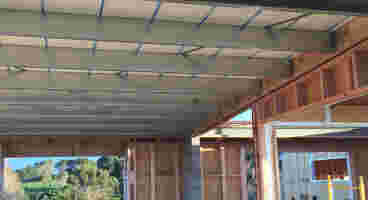 Bird Proof Purlins