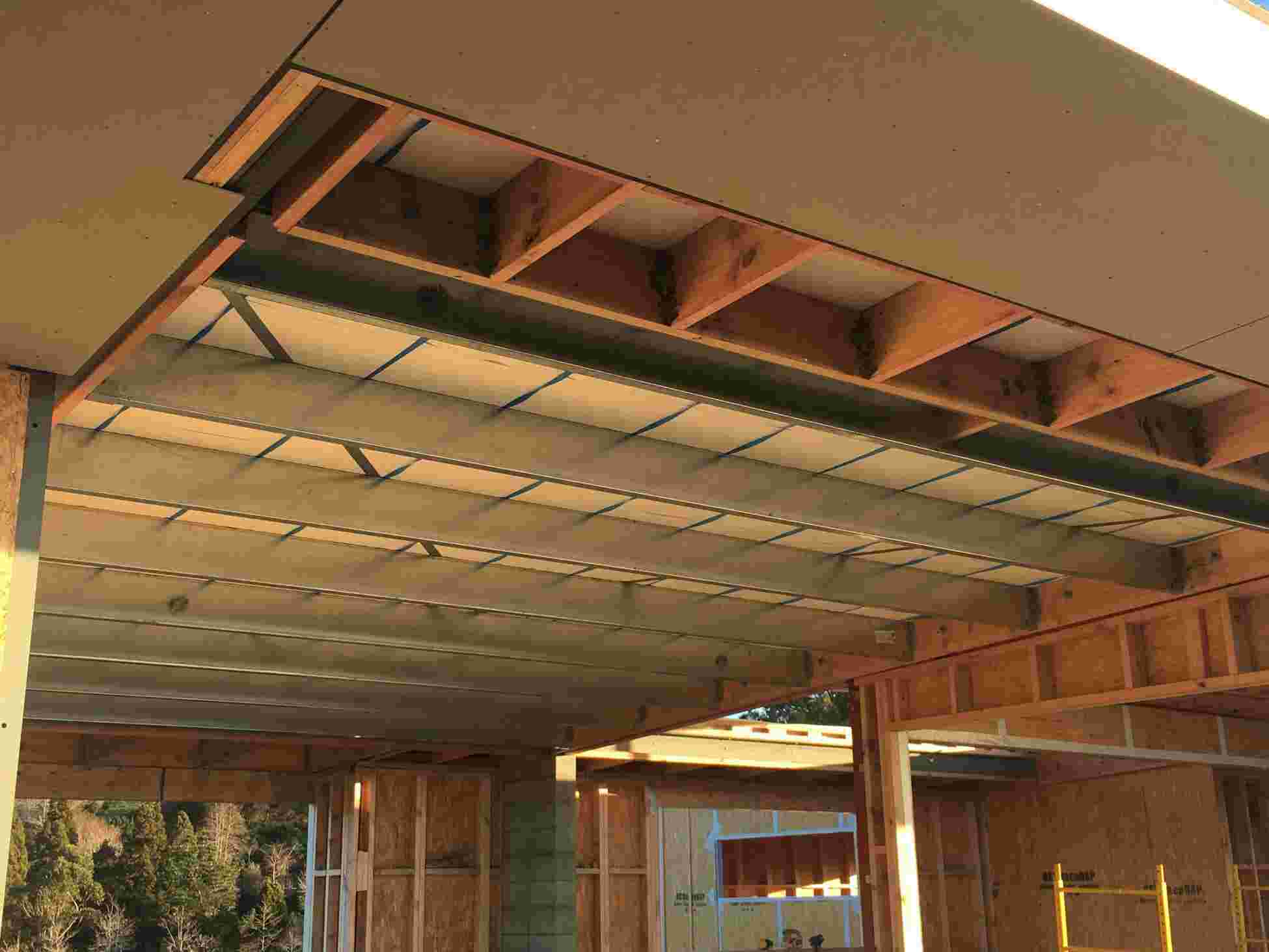 Bird Proof Purlins vs Laminated Timber Beams