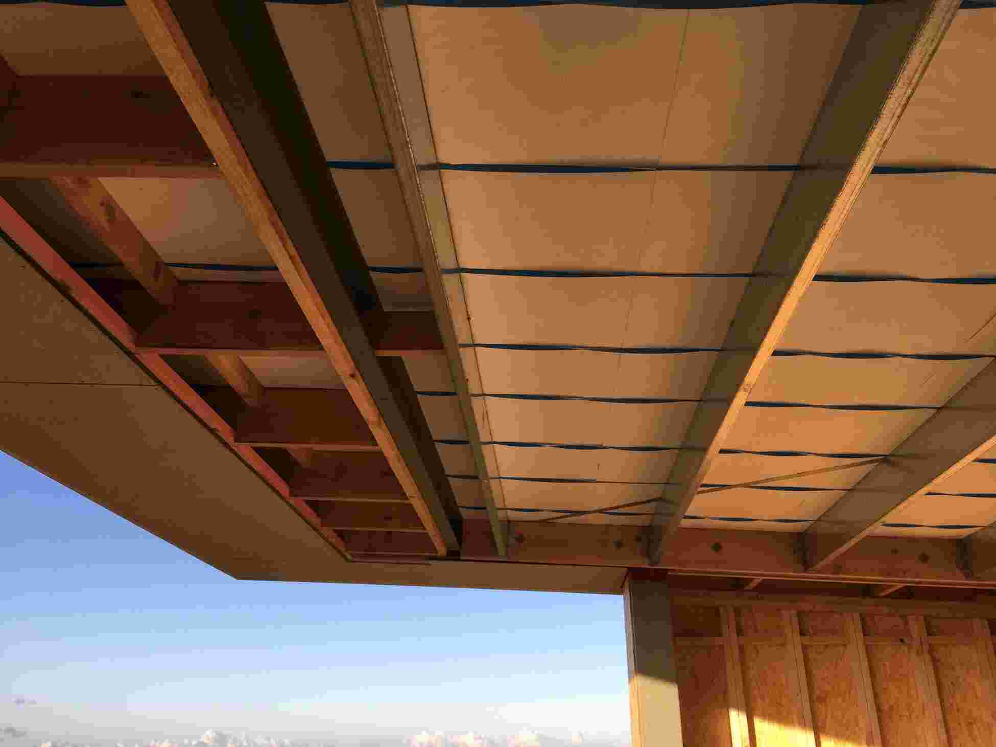 Bird Proof Purlins vs Laminated Timber Beams