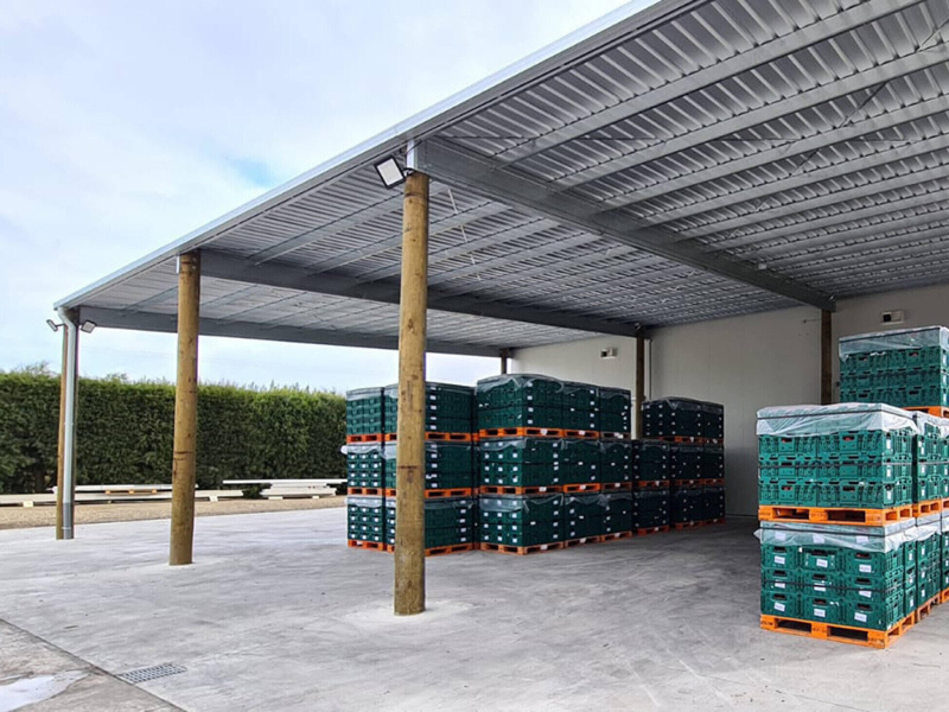 Sheds4U frame up 273m2 cool store for Riverway Orchards